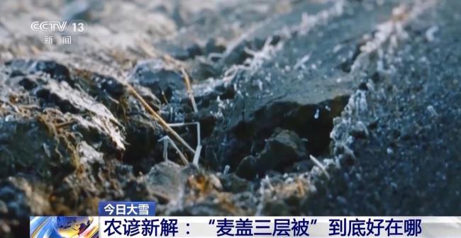 “大雪不冻倒春寒”的气候密码 古人智慧与现代科学的交汇