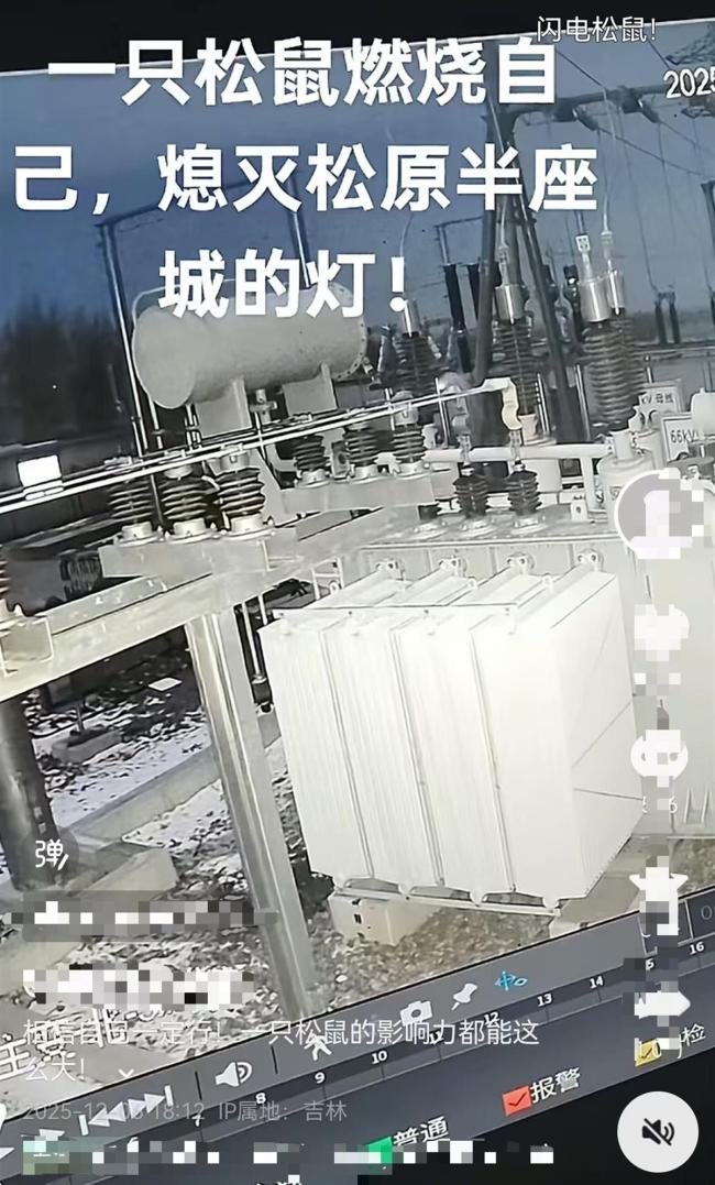 一只松鼠讓半個(gè)松原停電系謠言