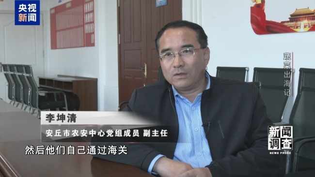 “蔬菜出口第一縣”做對了什么？安丘30年逆襲路！