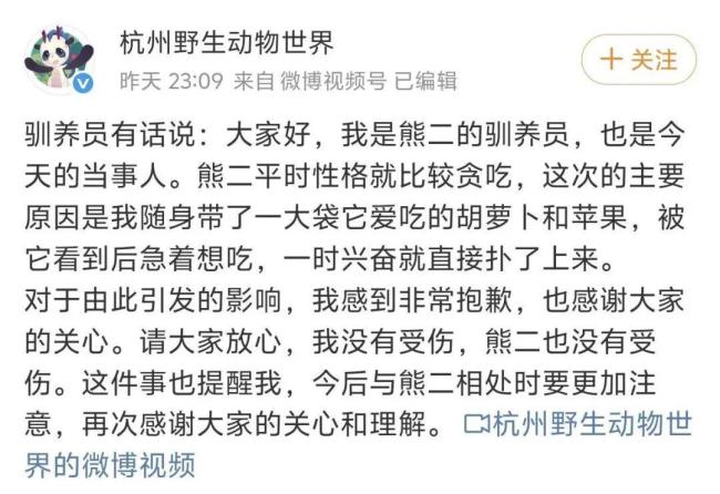 被黑熊撲倒馴養(yǎng)員解釋再次靠近原因 貪食胡蘿卜所致