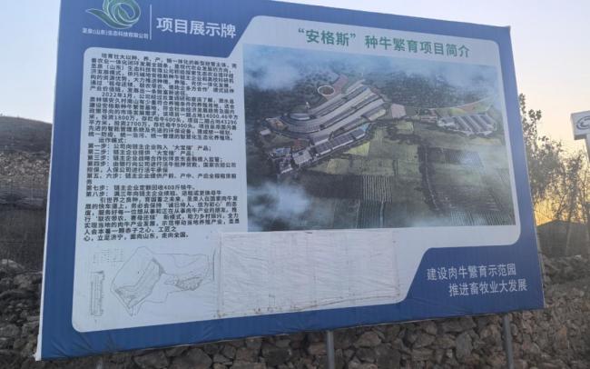 山東一養(yǎng)牛場(chǎng)立項(xiàng)兩年多未見一頭牛，山東一“養(yǎng)牛場(chǎng)”被指以平整土地為名采礦外賣