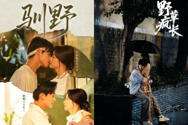 狙击蝴蝶热度 姐弟恋剧激勉热议