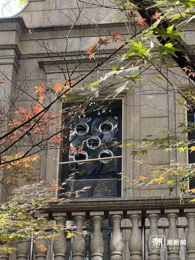 200位業(yè)主抵制小區(qū)開寵物重癥醫(yī)院 擔憂健康風險