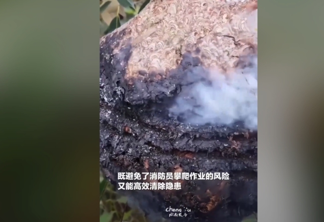 四川消防用激光炮端掉40米外馬蜂窩