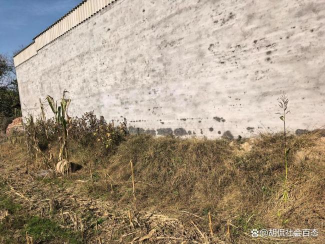 殺害一家五口兇手上訴稱一時激憤 鄰里糾紛釀成悲劇