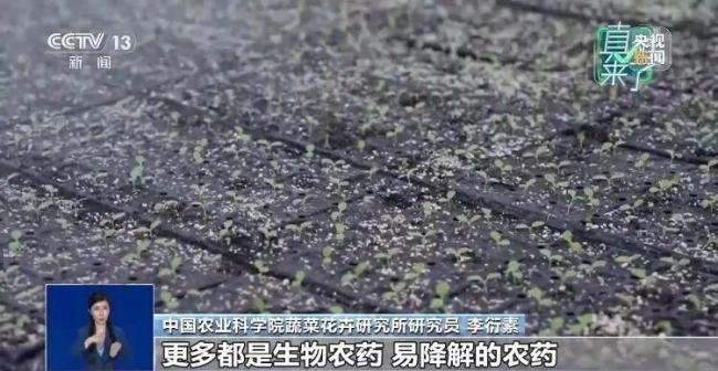 反季節(jié)蔬菜吃了等于白吃？謠言 粉碎不實(shí)傳言