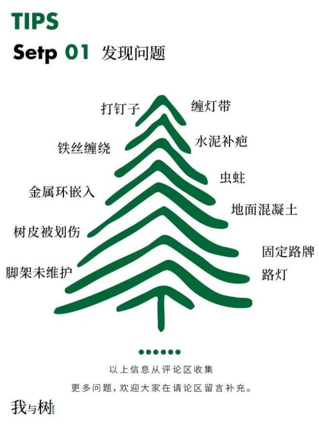 成都小伙為一棵樹撥打12345 小小舉動(dòng)溫暖全網(wǎng)