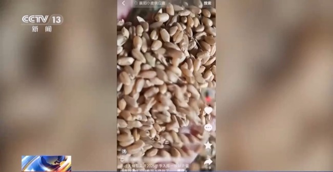 新型“購(gòu)糧洗錢(qián)”騙局曝光 警方提醒