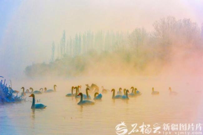 全国初雪地图出炉 新疆雪景稳坐“冬日顶流”