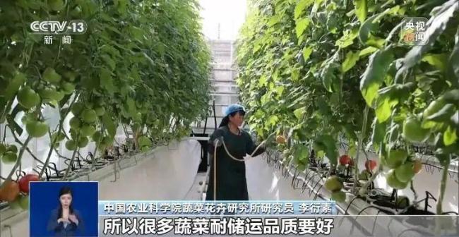 反季節(jié)蔬菜吃了等于白吃？謠言 粉碎不實傳言