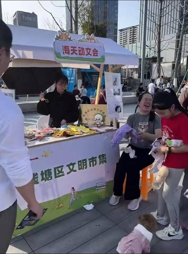流浪狗基地100多只狗斷糧超20天 饑餓悲劇背后的救助體系崩塌
