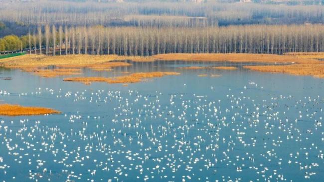 河南冬景上新 雪染山林文旅狂歡