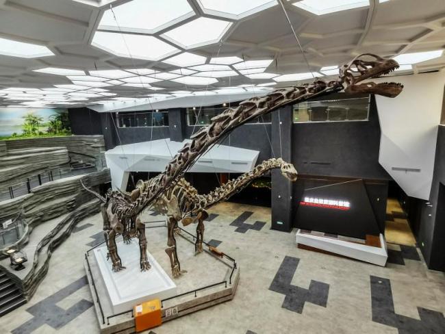 重慶發(fā)現(xiàn)恐龍新種:三江馬門溪龍 復(fù)原體長可達(dá)24米!