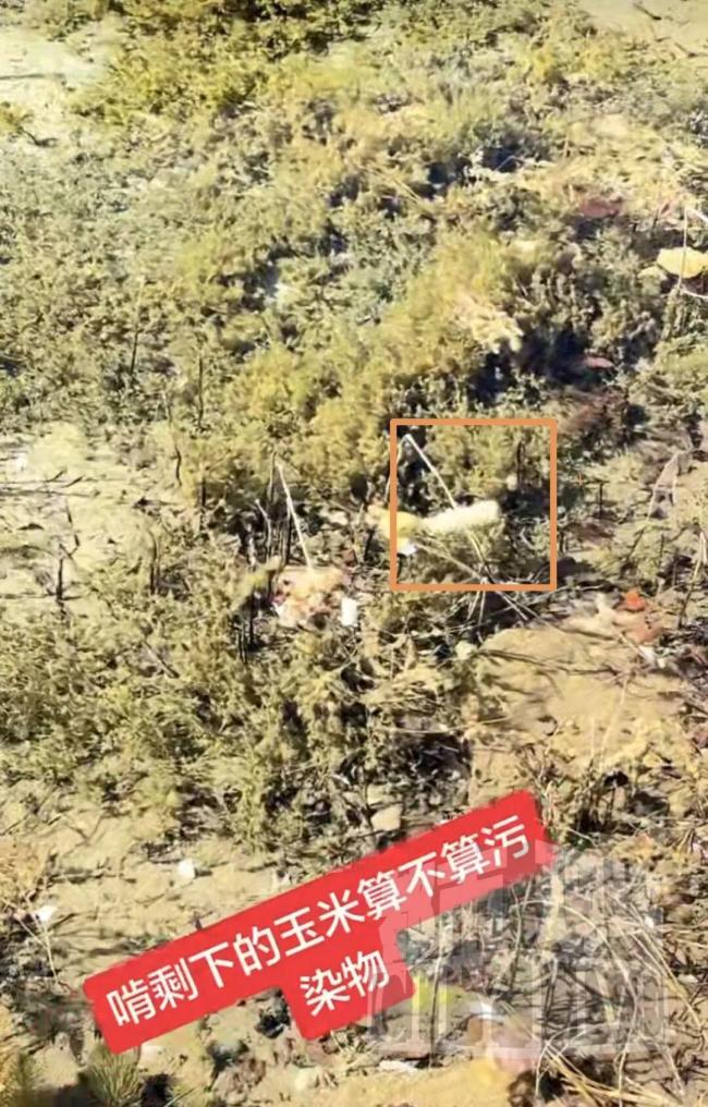 男子把玉米扔九寨溝水里被游客怒懟，景區(qū)回應(yīng)：與自然可降解無關(guān)，是基本文明問題