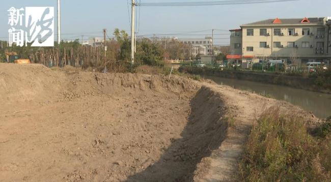 文物部門未收繳到工地出土銀元 市民挖掘熱潮引發(fā)關(guān)注