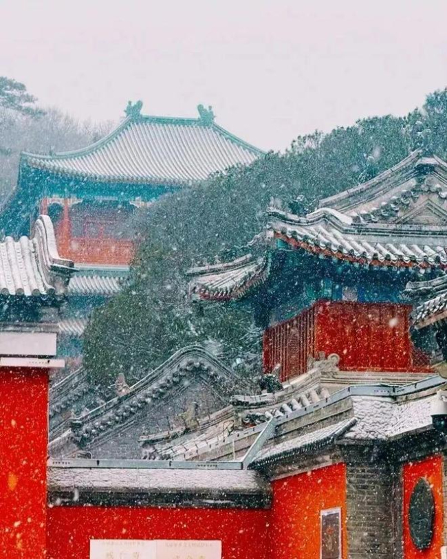 天津下雪 全市迎來初雪天氣