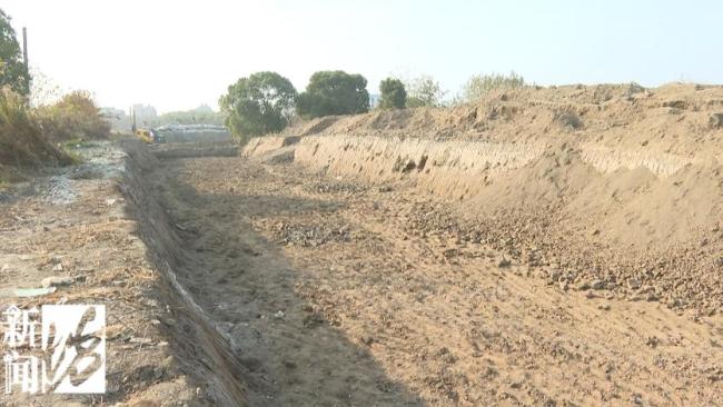 文物部門未收繳到工地出土銀元 市民挖寶熱潮引發(fā)關(guān)注