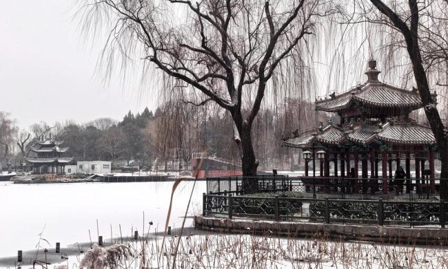 北京陶然亭公園上演絕美雪景 飛雪裝點(diǎn)古韻新顏