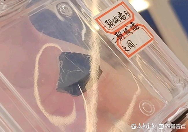 走進(jìn)濟(jì)南大明湖西南遺址 考古發(fā)現(xiàn)改寫(xiě)城市歷史