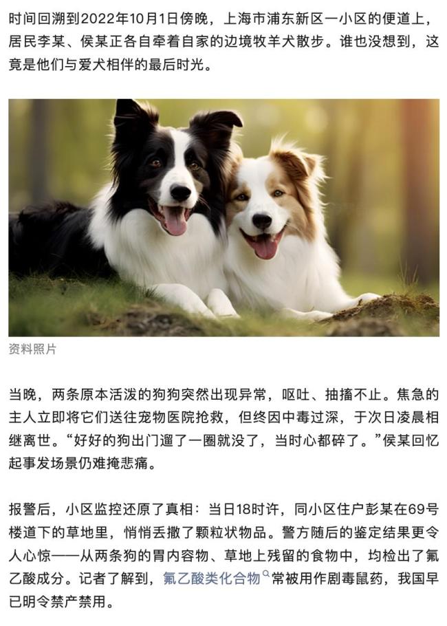 上海一女子嫌狗吵在小區(qū)草地投毒 寵物死亡引發(fā)賠償爭(zhēng)議