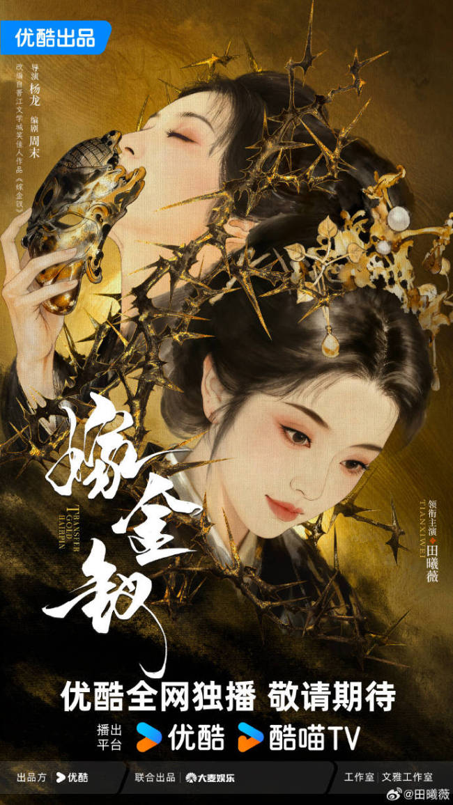 田曦薇《嫁金钗》开机造型 双面恶女挑战引期待