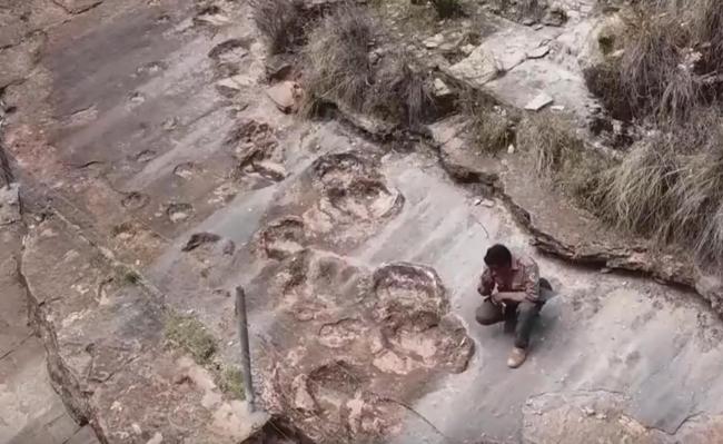 玻利維亞發(fā)現(xiàn)1.66萬個恐龍腳印 全球規(guī)模最大足跡群