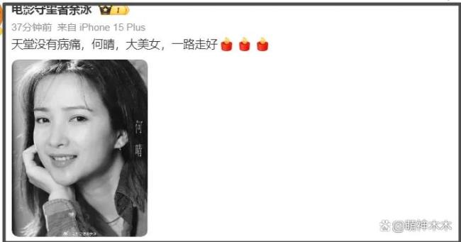 何晴10年前確診癌癥 與病魔抗爭多年終離世