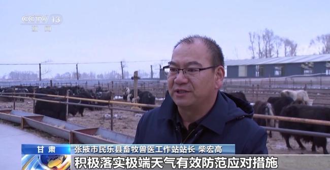 直击寒潮下的农作物“保卫战” 科学防寒保丰收