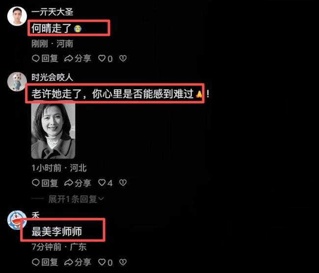 何晴儿子在告别仪式上追忆母亲:母亲最爱雪,这场雪下得恰好