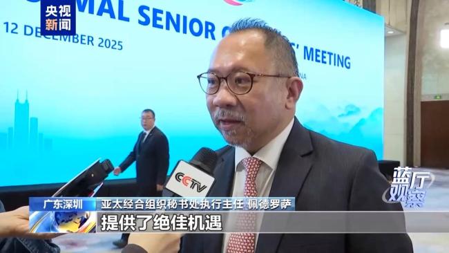 被寄予厚望的APEC“中国年”有何看点?