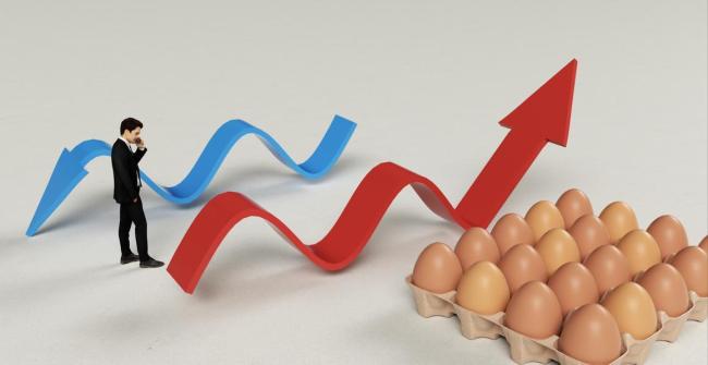 生猪、鸡蛋走势“分道扬镳” 供应与需求博弈加剧