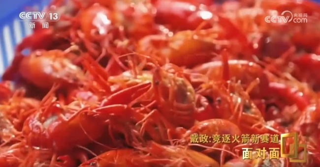 朱雀三号总指挥谈火箭首飞 入轨成功回收失利