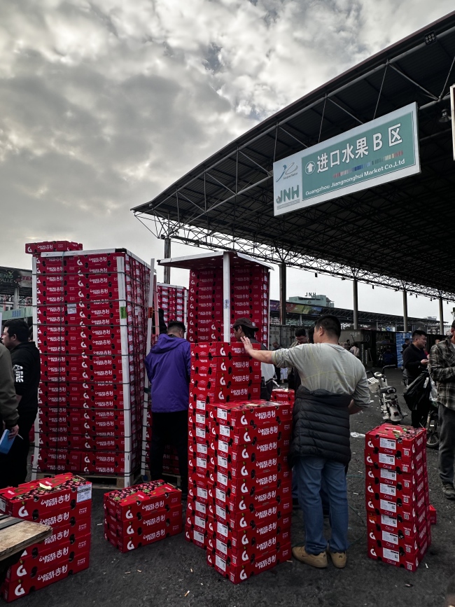 部分车厘子每斤售价跌破20元 零售端价格战提前拉响