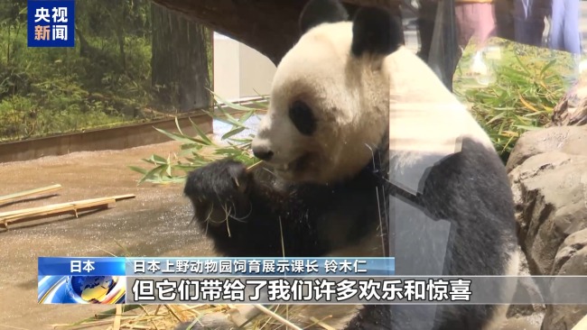 限时一分钟,日本民众排队告别中国大熊猫 依依不舍送祝福