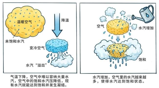 为何冬季常有大雾,还尤其爱在黎明“现身”? 首席预告员解读 地表放射冷却所致