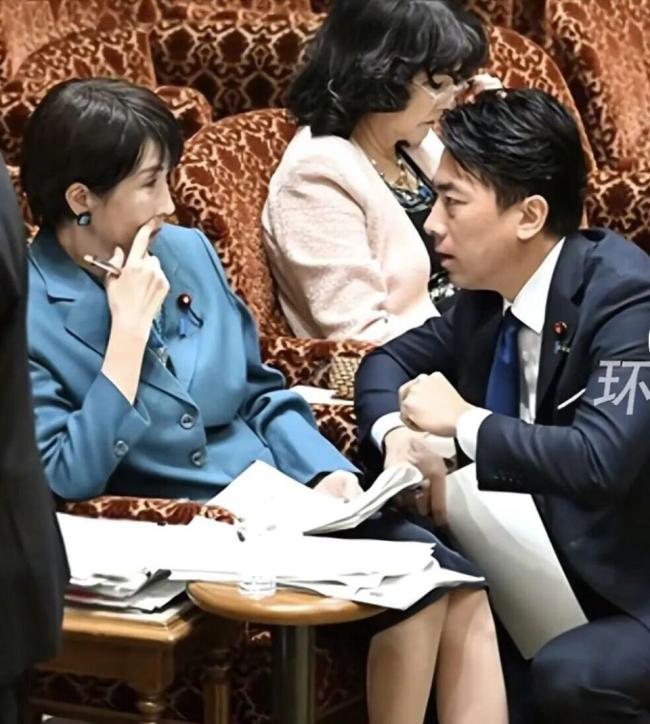小泉进次郎单膝跪地与高市早苗交谈 国会辩论混乱