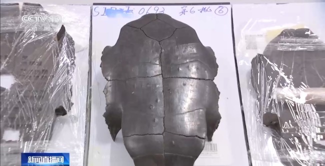 考古新发现!出土实物带你解密这位楚王的日常