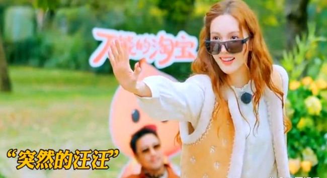 沈腾前有王安宇后有陈哲远 综艺嘉宾东谈主气大比拼