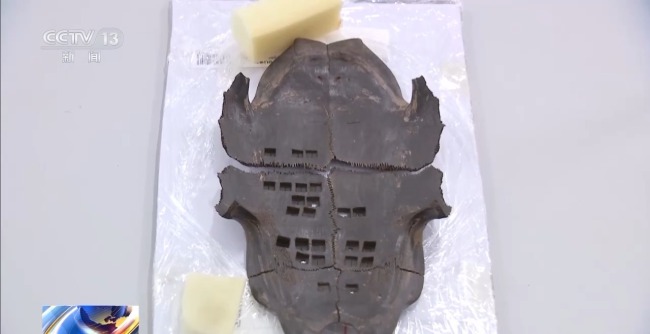考古新发现！出土文物将帮