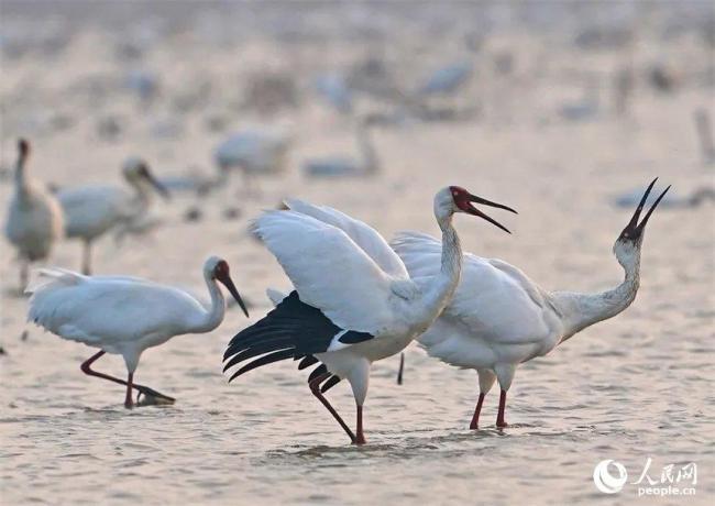 今日冬至节气 昼短夜长极点到