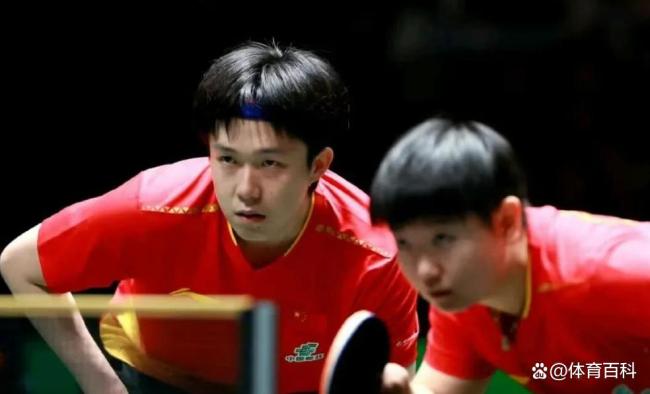 孙颖莎横空出世的背后 荣誉与伤痛并存