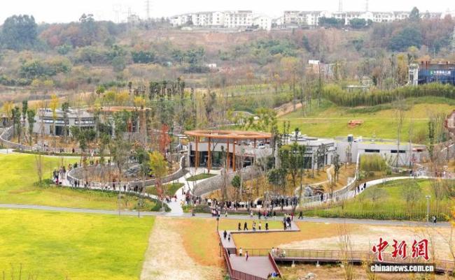 綿陽中華大熊貓苑迎來首批體驗官 近距離圍觀國寶日常