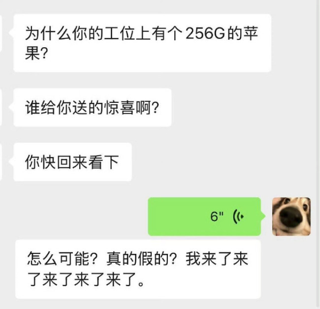 工位上有个256g的苹果，网友：果然人在做坏事的时候最有耐心