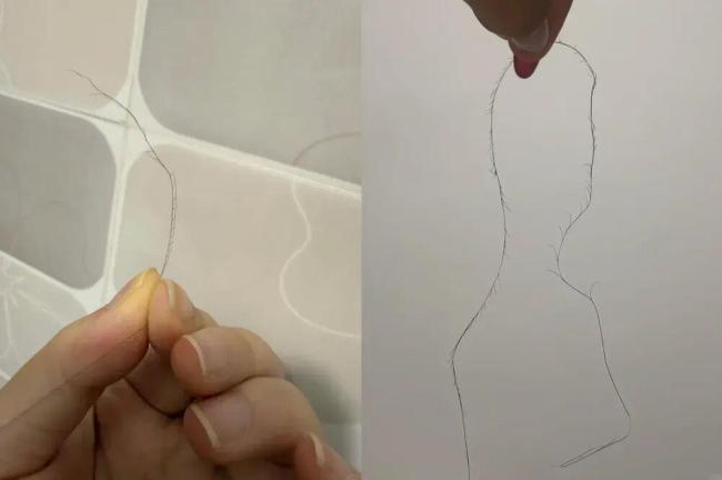 头发开叉其实是种病