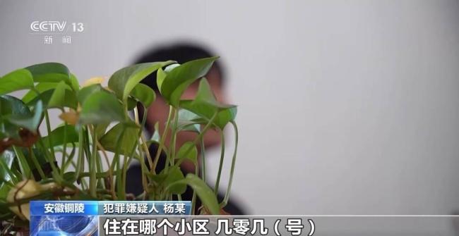 起底特大“职业背债人”贷款诈骗案 揭秘金融黑灰产网络