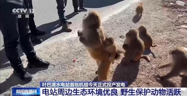 海拔2894米 “云端电站”投产 绿色能源新篇章