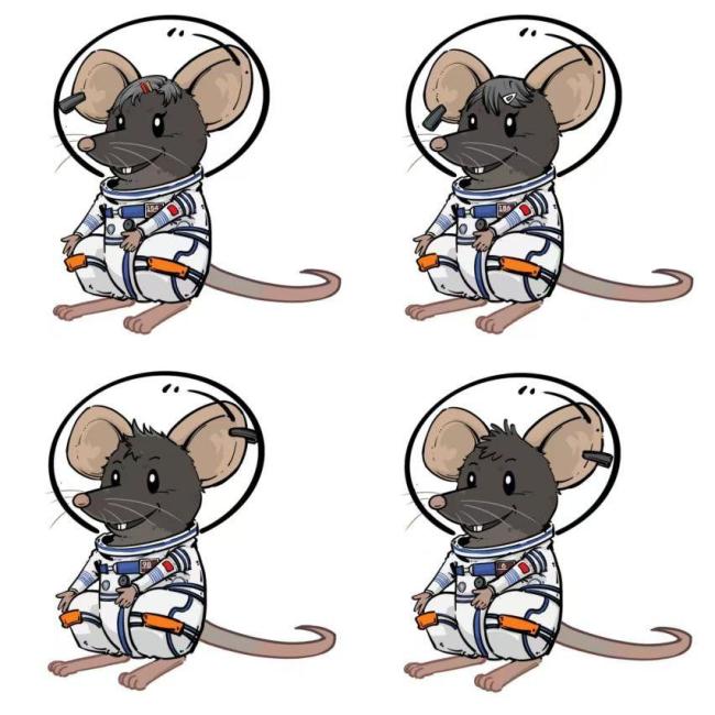 四只“飞天小鼠”名字揭晓 望天揽月追梦来