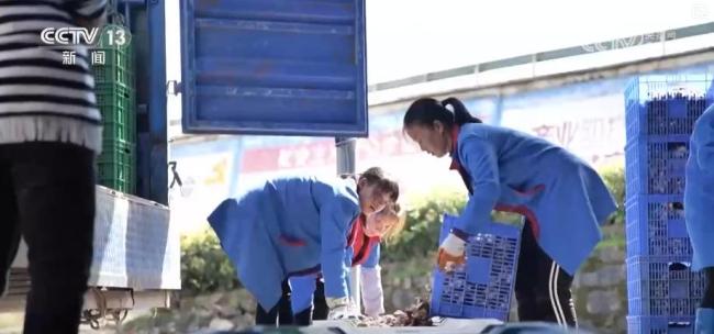 2025“三农”成绩单 脱贫地区稳步发展