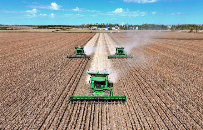 筑牢粮安“压舱石”守护民生“基本盘”:全链条发力端牢饭碗