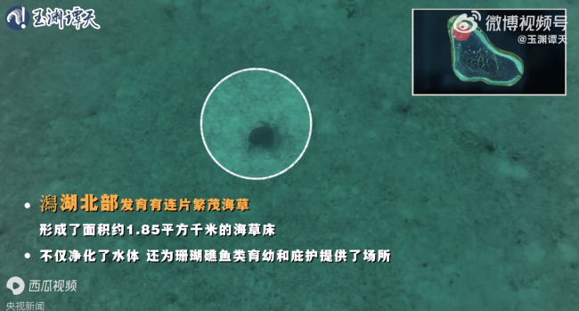 沉浸式体验黄岩岛“体检师”的一天